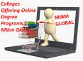 Colleges Offering Online Degree Programs support team In MIBM GLOBAL PowerPoint PPT Presentation