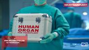 What is Organ Transplant