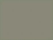 BSHS 335  Course Real Knowledge - tutorialrank.com