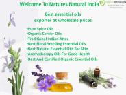 Best essential oils exporter at wholesale prices