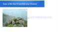 Some of the Best Waterfalls near Chennai (1) PowerPoint PPT Presentation