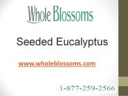 Seeded Eucalyptus