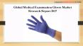 Global Medical Examination Gloves Market Research Report 2017 PowerPoint PPT Presentation