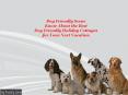 Dog Friendly Scene: Know About the Best Dog Friendly Holiday Cottages for Your Next Vacation PowerPoint PPT Presentation