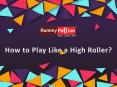 How to Play Like a High Roller PowerPoint PPT Presentation