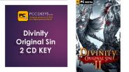 Divinity Original Sin 2 CD KEY