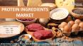 Protein Ingredients Market | Global Industry Report 2017-2024 (5) PowerPoint PPT Presentation