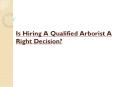Is Hiring A Qualified Arborist A Right Decision? PowerPoint PPT Presentation