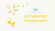 Web design services