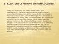 stillwater fly fishing british columbia PowerPoint PPT Presentation