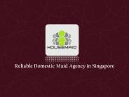 Domestic Maid Agency