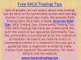 Make a Lots of Profit in Commodity Market with Free MCX Trading Tips PowerPoint PPT Presentation