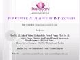 IVF Centre in Udaipur by IVF Experts PowerPoint PPT Presentation