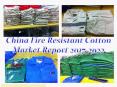 China Fire Resistant Cotton Market Report 2017-2022 PowerPoint PPT Presentation