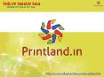 Invitation Cards - Buy Invitation Card Online in India
