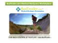 BudTrader - Medical Marijuana Marketplace PowerPoint PPT Presentation
