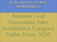 Sales Acceleration Company Dallas Texas