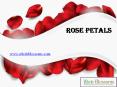 Bulk Rose Petals - www.wholeblossoms.com (1) PowerPoint PPT Presentation