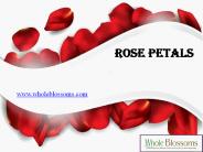 Bulk Rose Petals - www.wholeblossoms.com (1)
