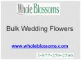 Bulk Wedding Flowers PowerPoint PPT Presentation
