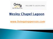 Wesley Chapel Lagoon - livingatepperson.com (7)