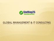 Global Management & IT Consulting