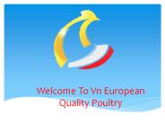 Vn  European Quality Poultry