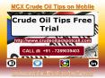 MCX Crude Oil Tips on Mobile, Crude Oil Tips Provider in India PowerPoint PPT Presentation