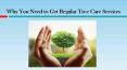 Why You Need to Get Regular Tree Care Services PowerPoint PPT Presentation