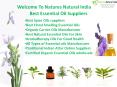 Natures natural India is the best Essential Oil Suppliers PowerPoint PPT Presentation