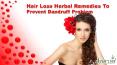 Hair Loss Herbal Remedies To Prevent Dandruff Problem