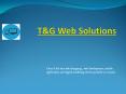 Best T&G Web Solutions PowerPoint PPT Presentation