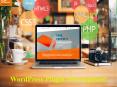 Develop Your WordPress Plugin From Scratch PowerPoint PPT Presentation