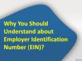 Why You Should Understand about Employer Identification Number (EIN)? PowerPoint PPT Presentation