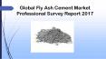 Global Fly Ash Cement Market Professional Survey Report 2017 PowerPoint PPT Presentation