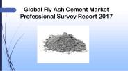 Global Fly Ash Cement Market Professional Survey Report 2017