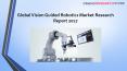Global Vision Guided Robotics Market Research Report 2017 PowerPoint PPT Presentation