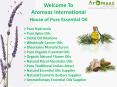 Aromaaz international is the best Organic Essential Oils suppliers