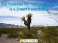 Top Reasons for California Land is a Smart Investment PowerPoint PPT Presentation