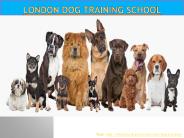 London Dog Training School