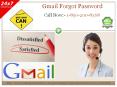 Why should I count on Forgot Gmail Password 1-850-290-8368 ? PowerPoint PPT Presentation
