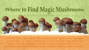 Where to Find Magic Mushrooms?