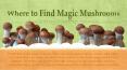 Where to Find Magic Mushrooms? PowerPoint PPT Presentation