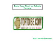 Basic Care Sheet on Sulcata Tortoise
