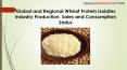 2017 2022 Global and Regional Wheat Protein Isolates Industry Production, Sales and Consumption Stat PowerPoint PPT Presentation