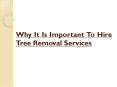 Why It Is Important To Hire Tree Removal Services PowerPoint PPT Presentation