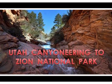 Enjoy the Adventurous Utah Canyoneering Trips