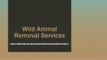 Wild Animal Removal Services
