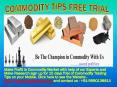 100 % Commodity Tips Free Trial PowerPoint PPT Presentation