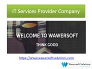 IT Services Provider Company